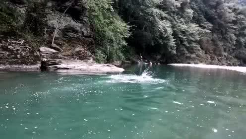 猪场怼怼乐